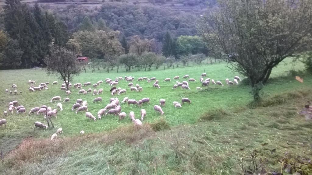 Antica Casa Ortensia Riva del Garda Quarto foto